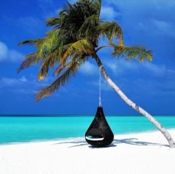Customised holiday packages